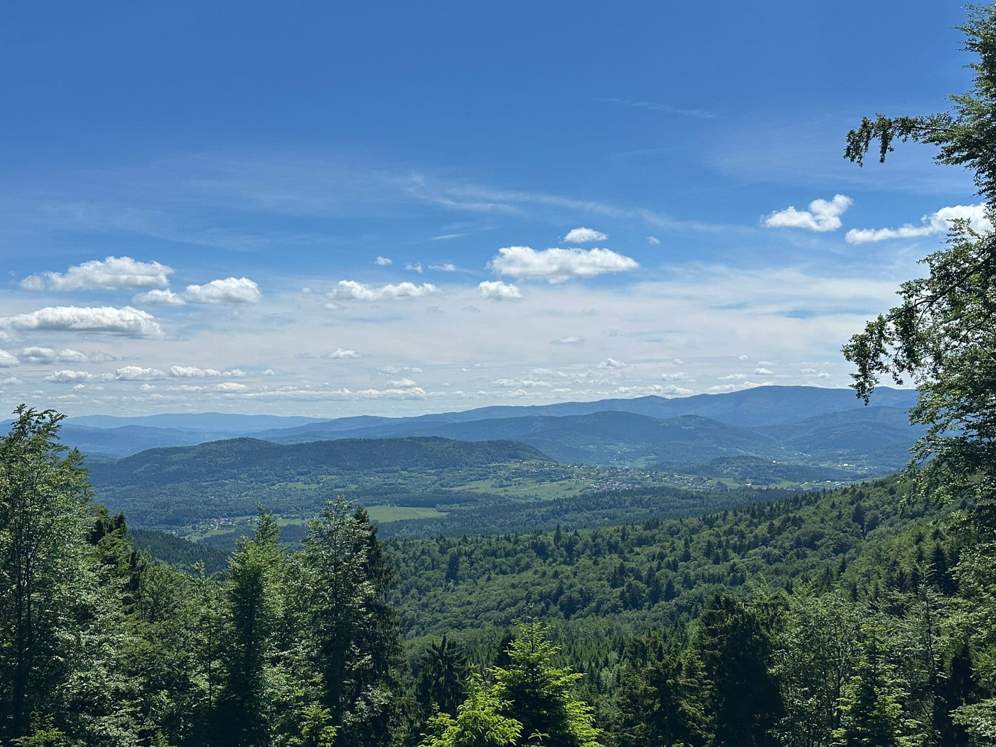 Panorama Beskidu Żywieckiego